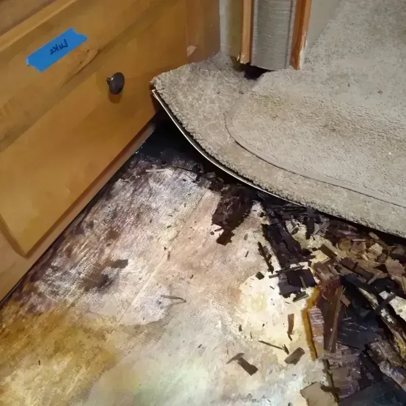 Best Wood Floor Water Damage Service in Kingsland, GA